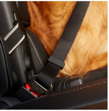 Load image into Gallery viewer, Pet Seat Belts
